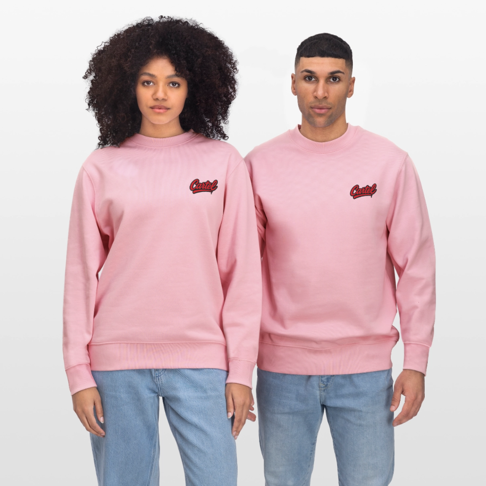 Cartel Bio-Sweatshirt Capybara - Hellrosa